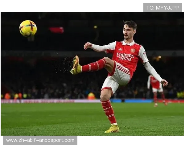 马赛法甲引援策略是否清晰明朗 面临哪些挑战与机遇